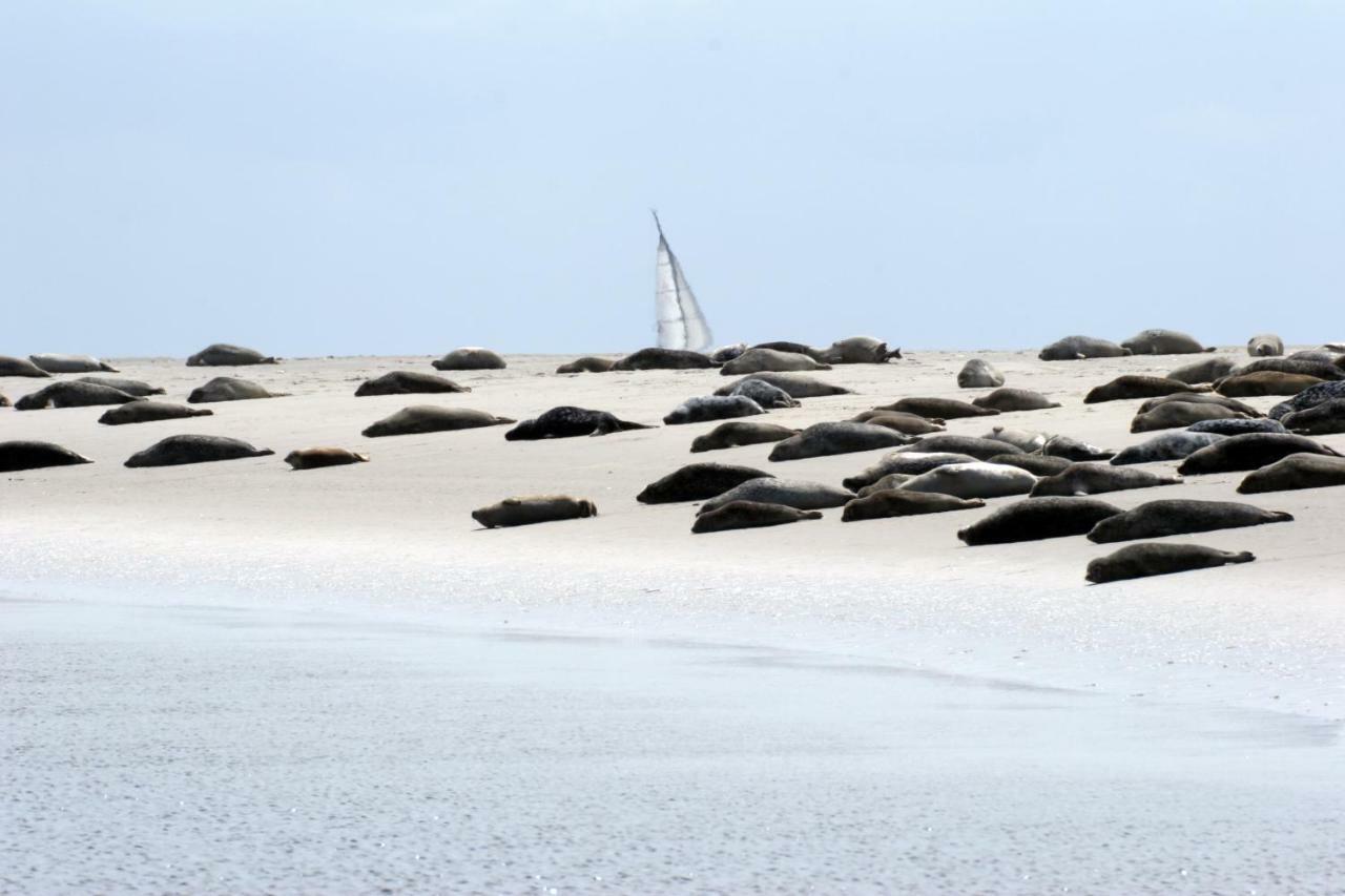 Borkumunterkunft - Woh4 - Im Herzen Der Insel Extérieur photo
